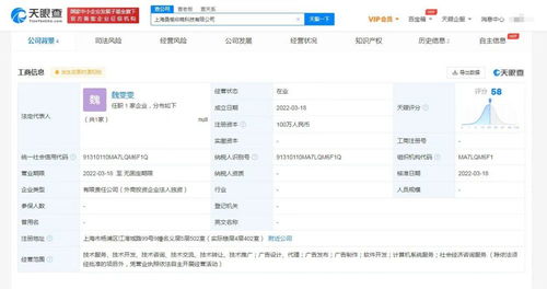 計(jì)算機(jī)系統(tǒng)服務(wù) 數(shù)字化時(shí)代的基石與引擎